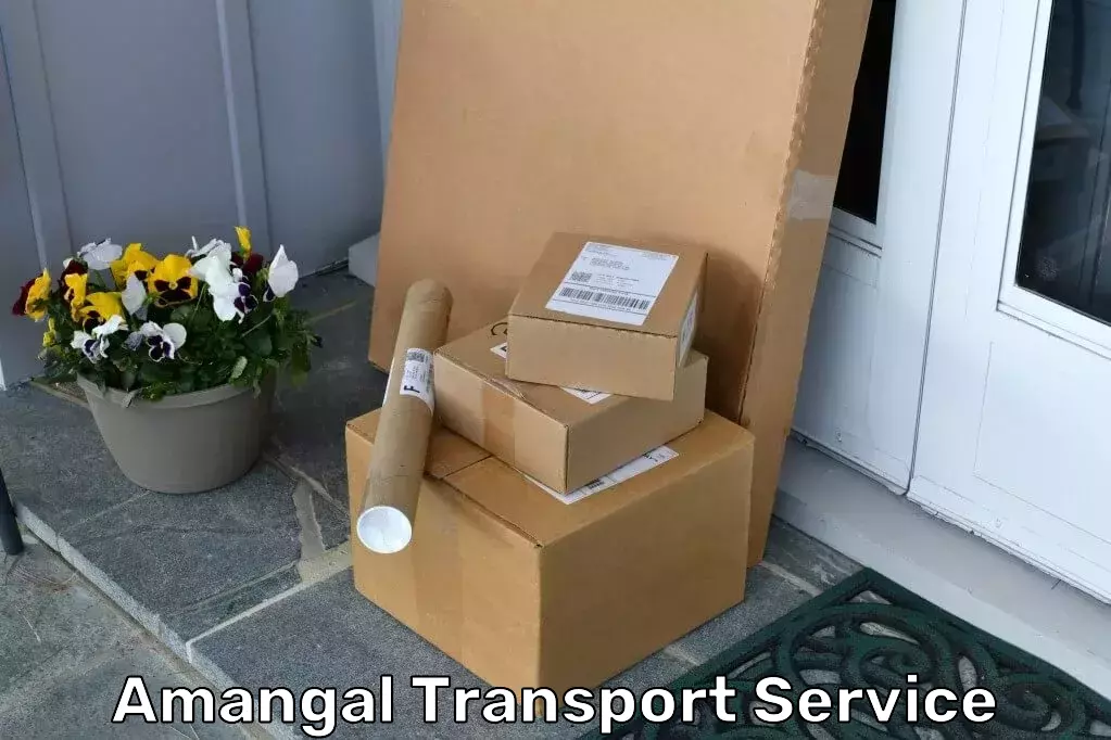 International Shipping Services in Amangal