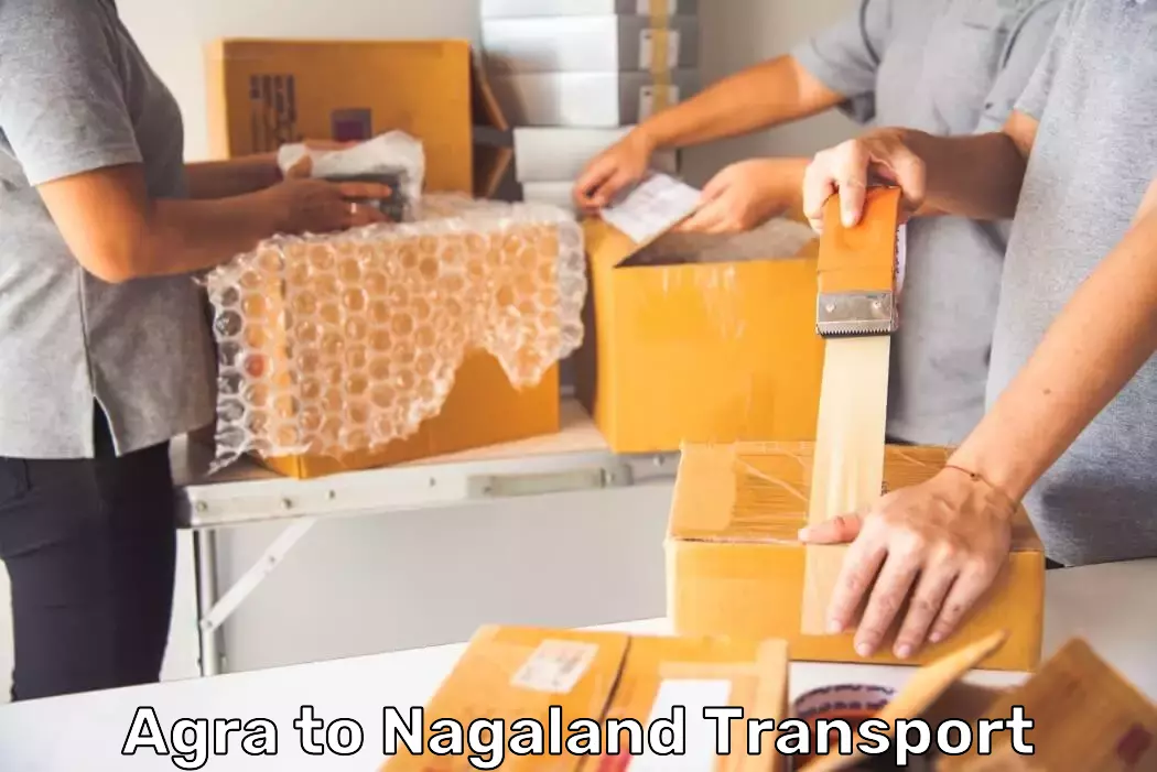 Government Transport Services in Agra to Nagaland