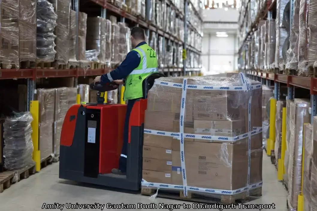 International Logistics Provider in Amity University Gautam Budh Nagar to Chandigarh