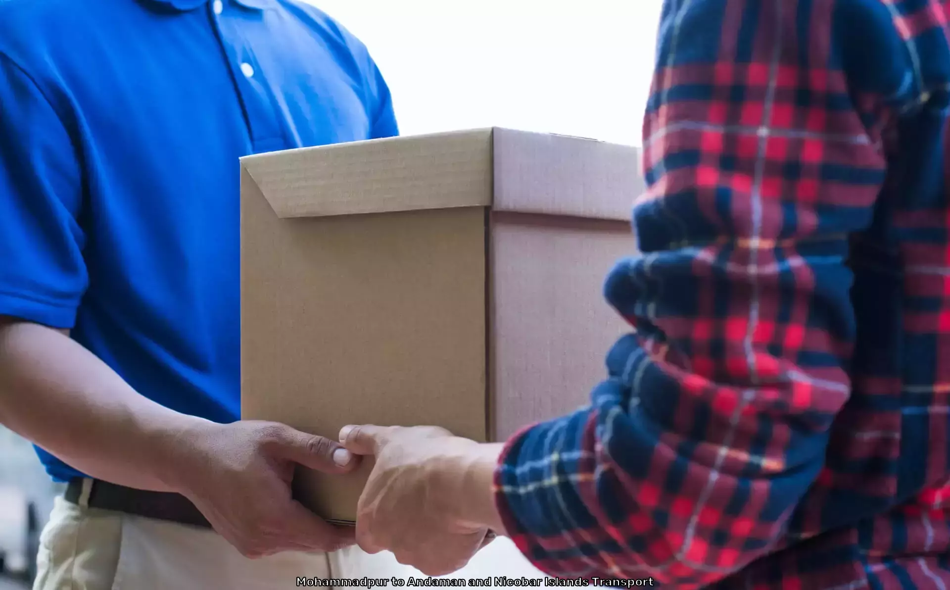International Relocation Services in Mohammadpur to Andaman and Nicobar Islands