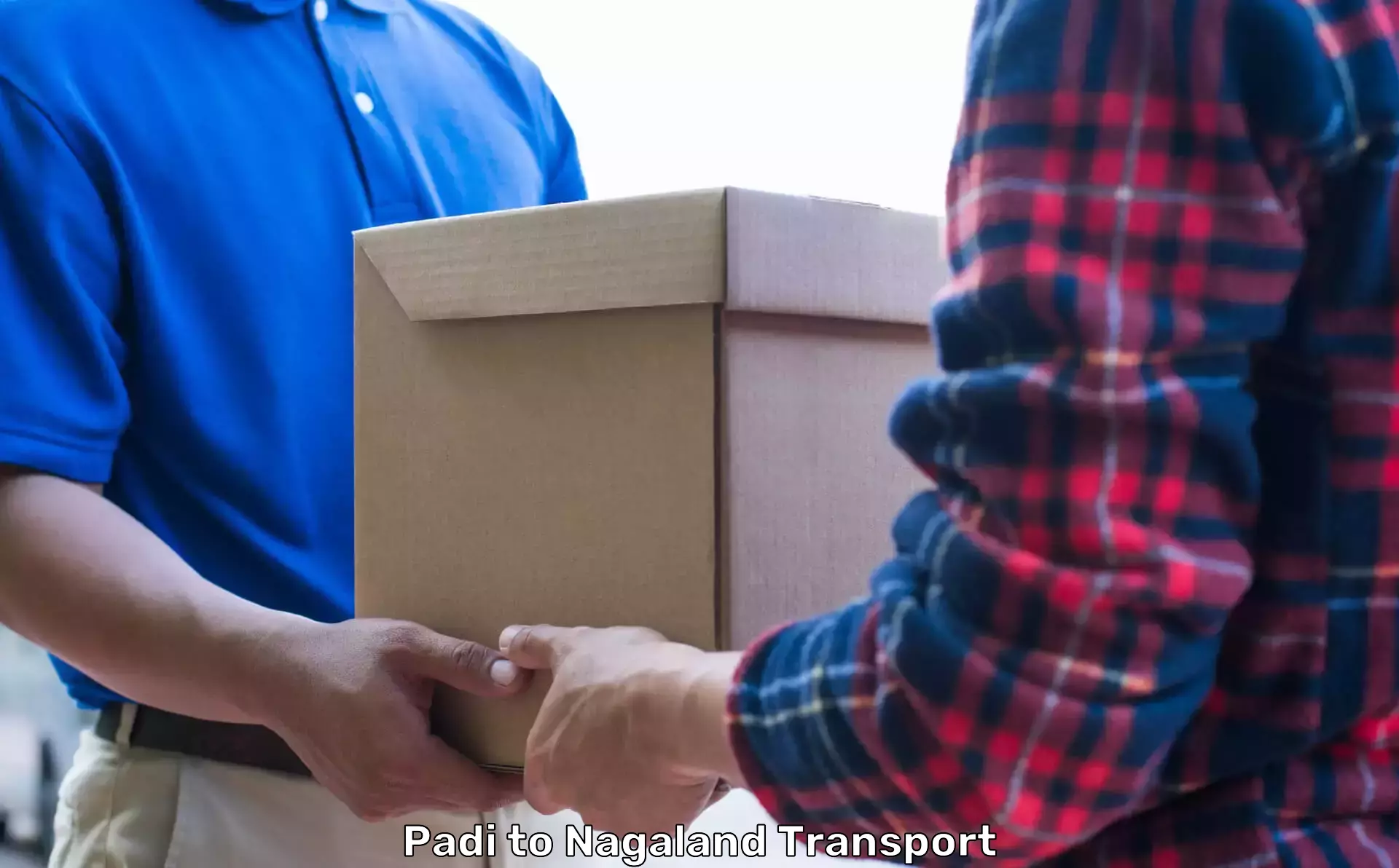 International Movers in Padi to Nagaland