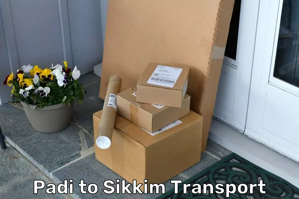 Express Transport Services in Padi to Sikkim