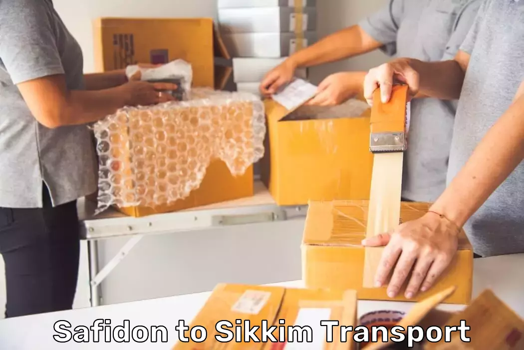 Large Item Delivery in Safidon to Sikkim