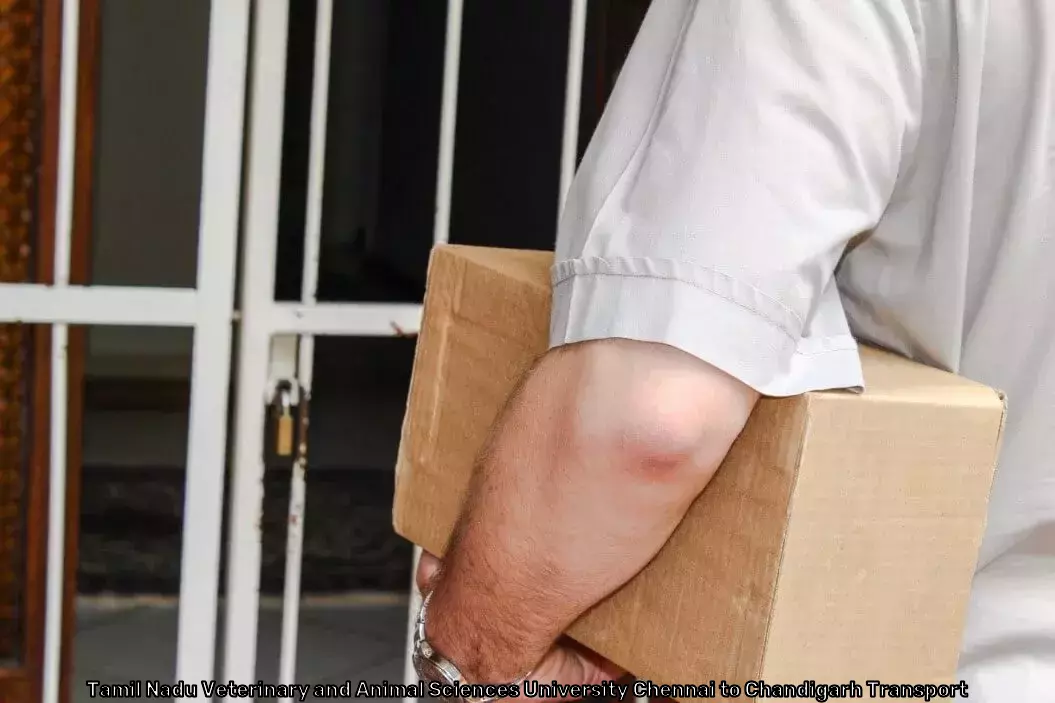 Secure Parcel Service in Tamil Nadu Veterinary and Animal Sciences University Chennai to Chandigarh