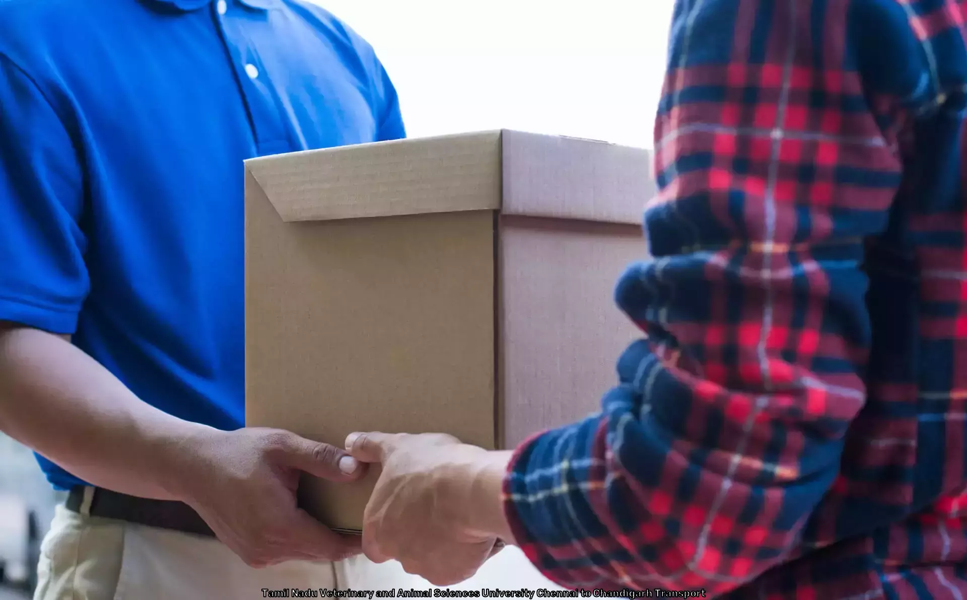 Fast Parcel Shipping in Tamil Nadu Veterinary and Animal Sciences University Chennai to Chandigarh